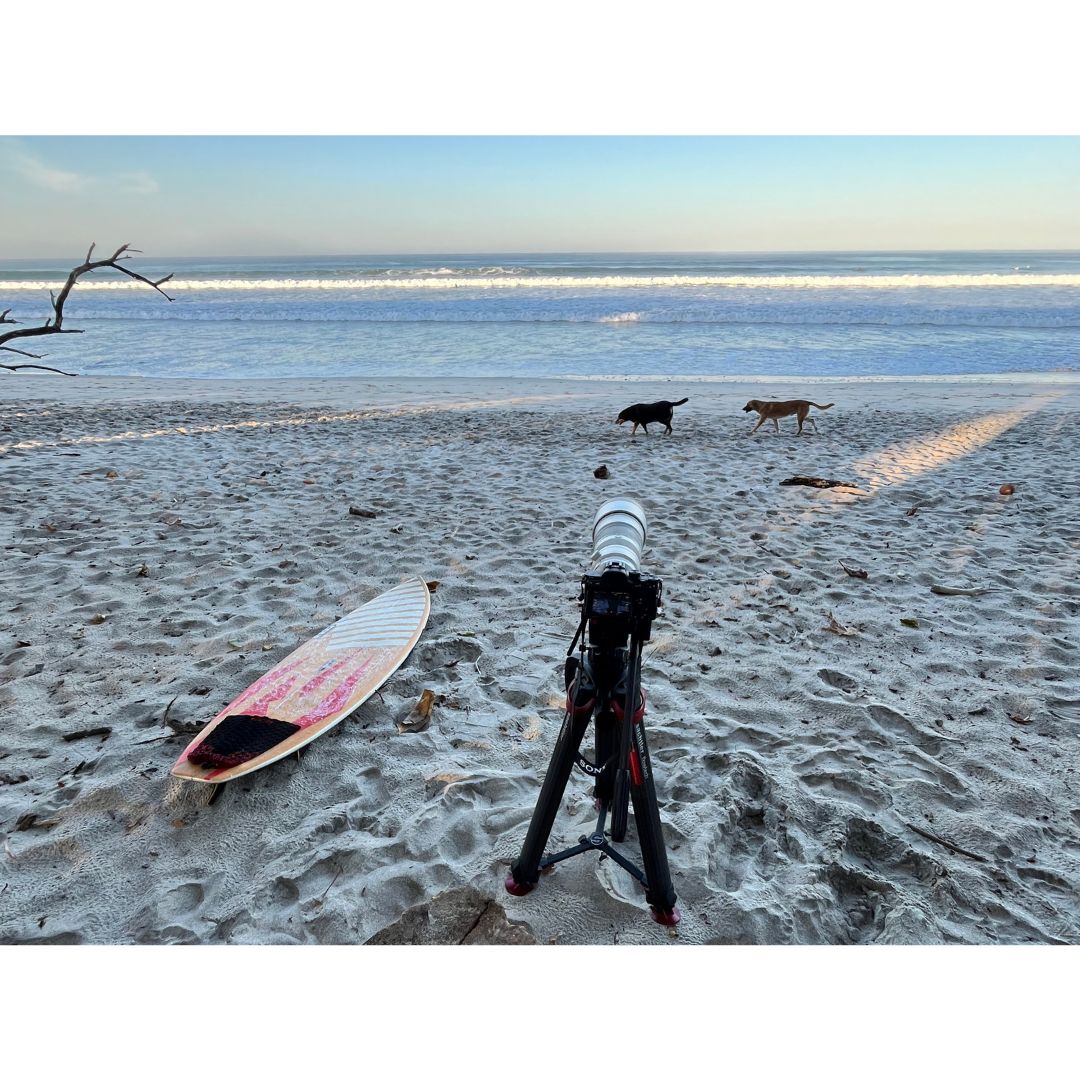 Santa Teresa Traffic